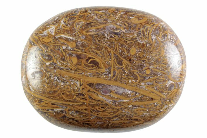 Polished Miriam Stone Palm Stone - India #365880